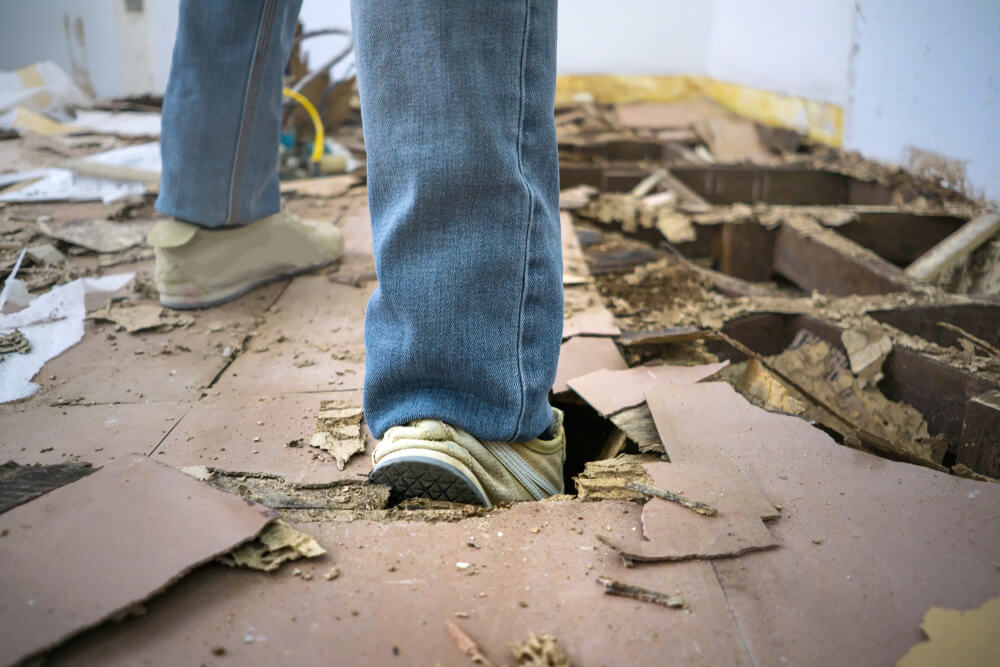 Top signs of termite damage in Alabama - Gartlan Injury Law